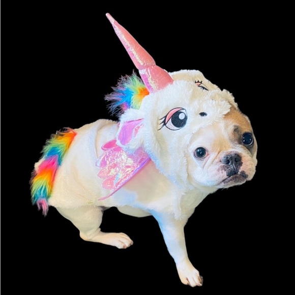 𝗡𝗘𝗪 Unicorn Pet Costume - Picture 3 of 6